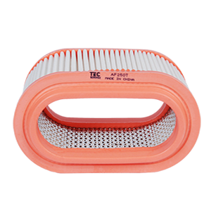 *06* AF250 (HCT) FILTRO DE DEPURADORHYUNDAI H-100